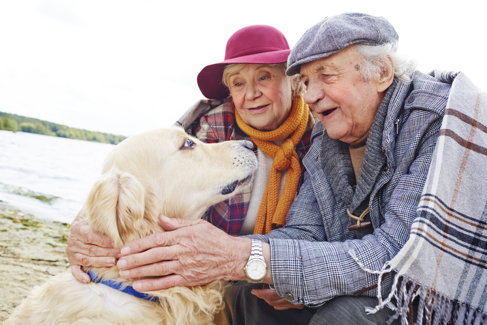 Hunde für Senioren GesundVitalFit